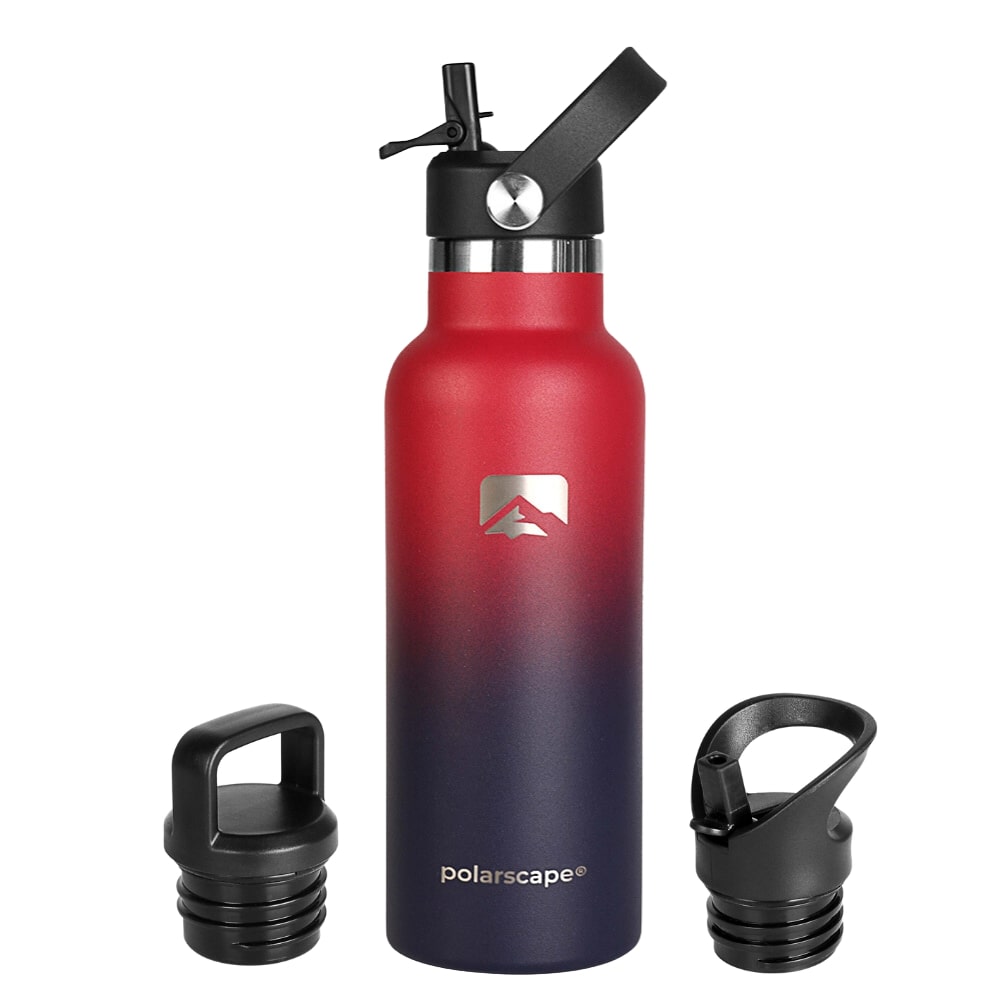 Insulated Water Bottle With Straw Narrow Mouth 500 ml Plum