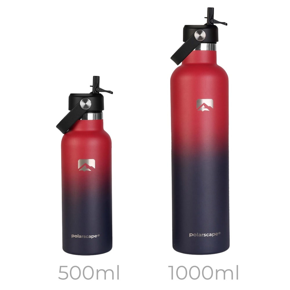 Insulated Water Bottle With Straw Narrow Mouth 500 ml Plum